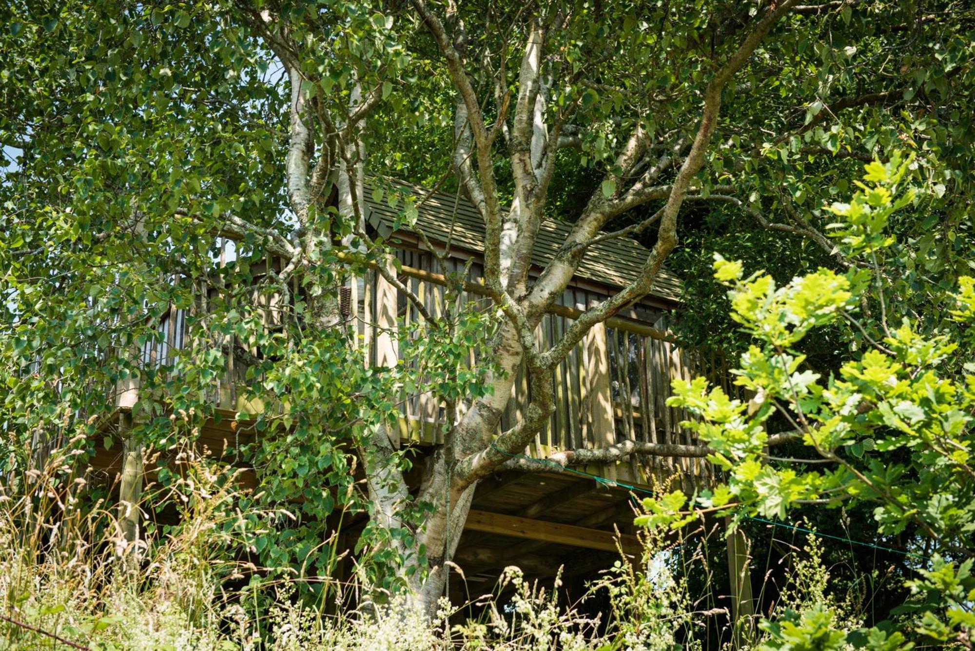 The Treehouse At Salcombe Farm Βίλα Εξωτερικό φωτογραφία